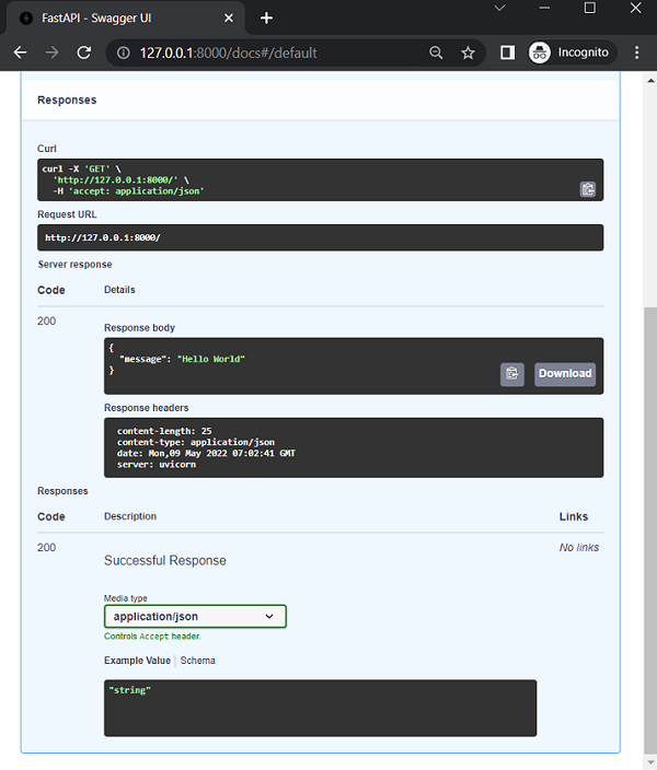 fastapi docs execute